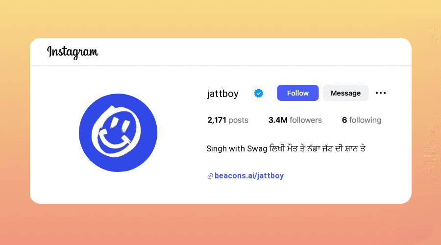 Attitude Instagram Bios for Punjabi Boys design
